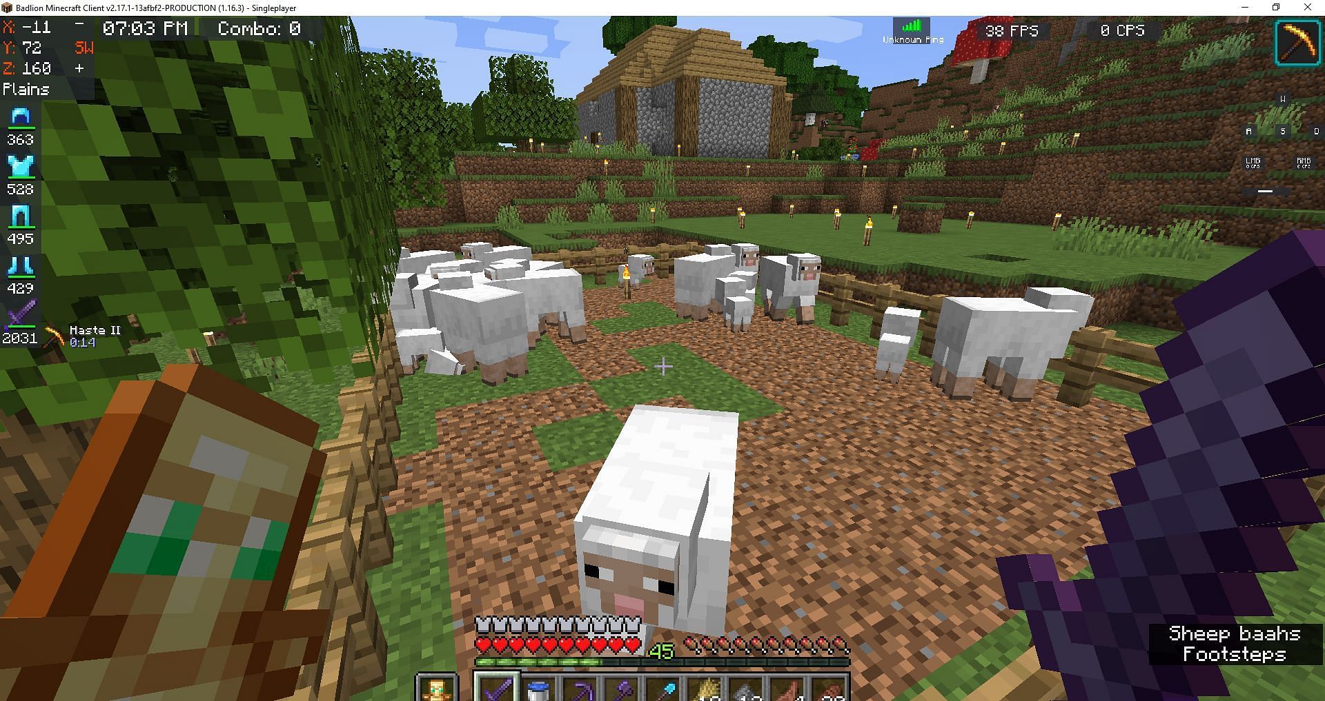 Minecraft Sheep Farm