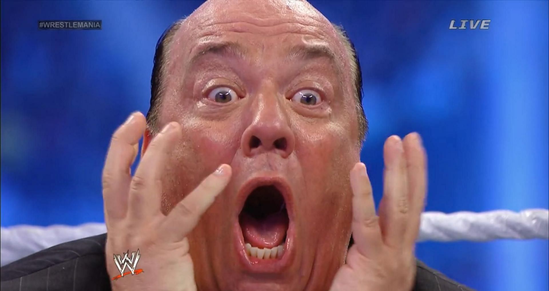 Details On Former Wwe Female Star Grabbing Paul Heyman By The Throat