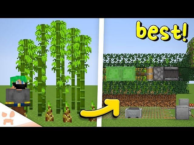 How To Make A Simple Bamboo Farm In Minecraft