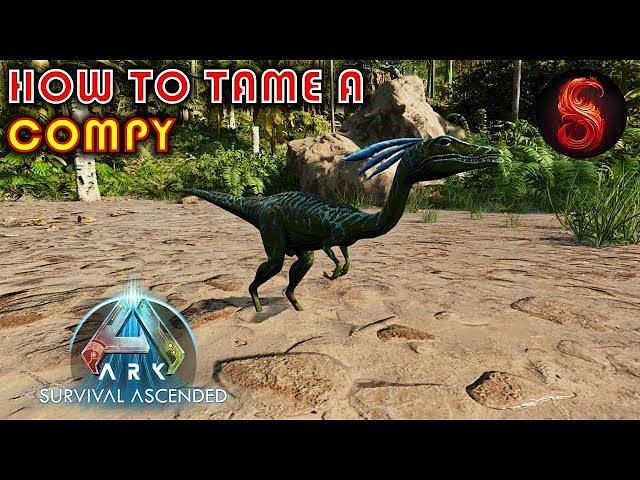 ARK Survival Ascended Compy Taming Guide