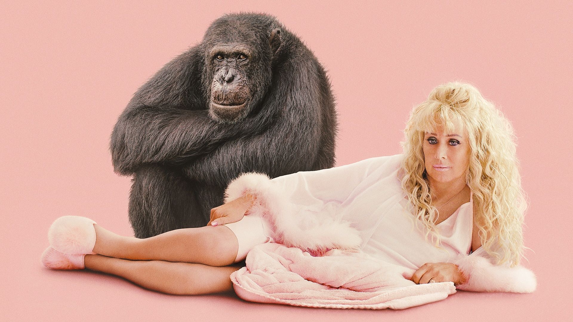 Who Is Tonia Haddix The Fascinating True Story Behind Hbo S Chimp