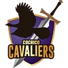 cap-icon