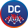 cap-icon