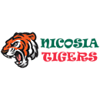 team-flag