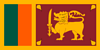 team-flag
