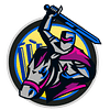 team flag