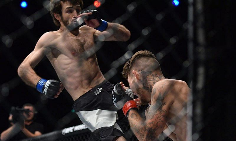 Zabit Magomedsharipov may be the next big thing in the UFC.