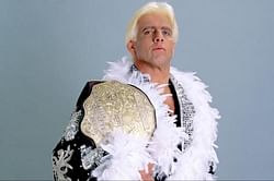 Back to the beginning: how WWE is becoming the modern day NWA