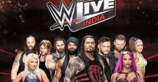 Complete roster analysis for the WWE Live Event in India