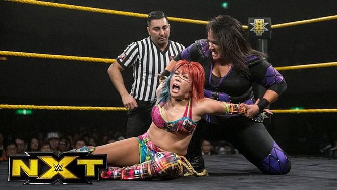 10 female Superstars who will rule WWE in 2018