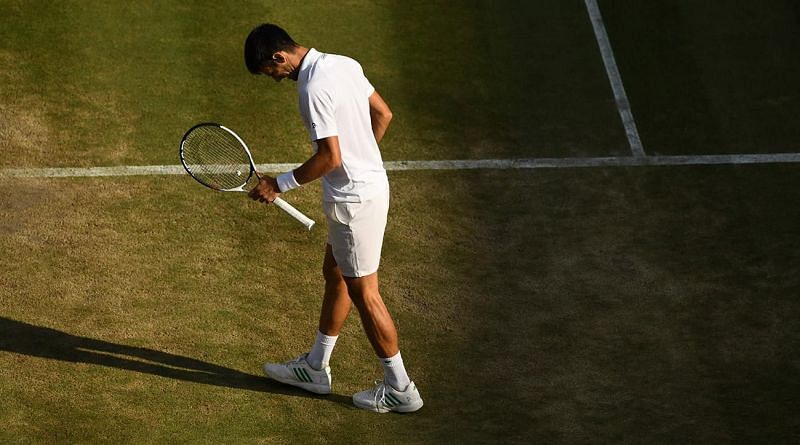 Tennis faithful did not see the best of Djokovic in 2017 due to injuries