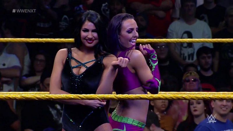 Peyton Royce and Billie Kay would bring something new to the women&#039;s division on the main roster
