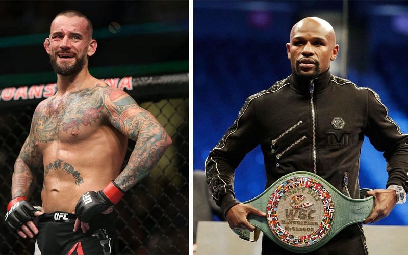 Floyd Mayweather is the villain who could demolish the anti-hero CM Punk when they fight later this year