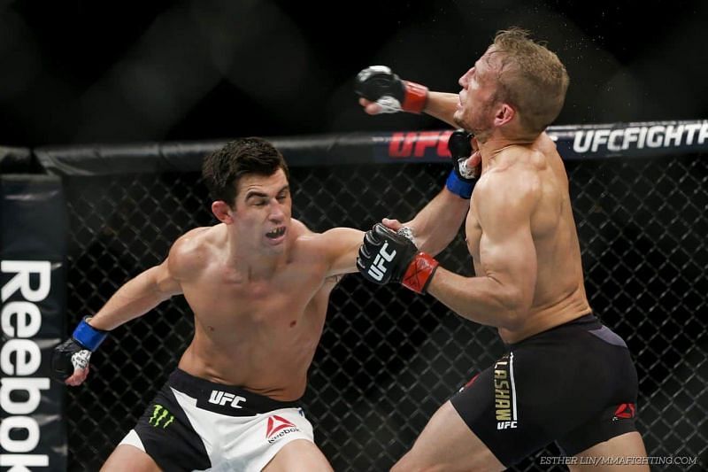 Dominick Cruz and TJ Dillashaw have been considered as two of the best Bantamweights of this generation