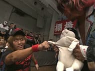 This inanimate object has gotten so over it's hysterical