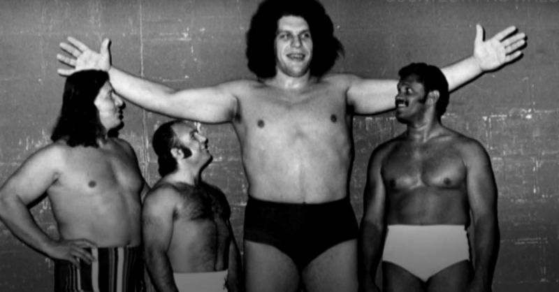 Andre the Giant