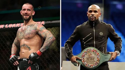 Will CM Punk's next fight be against Floyd Mayweather?