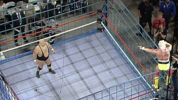 Hogan rallies the Hulkamaniacs from the top of a solid steel cage.