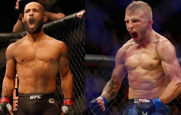 Dillashaw vs. Johnson on tap for UFC 226