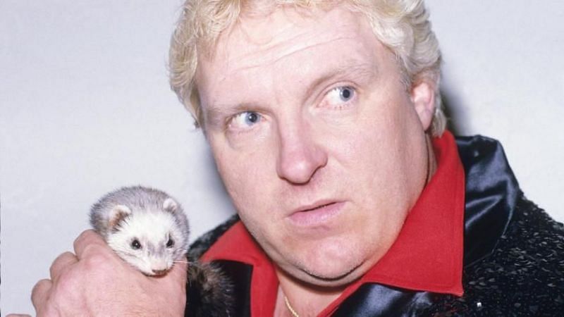 The weasel with a weasel.