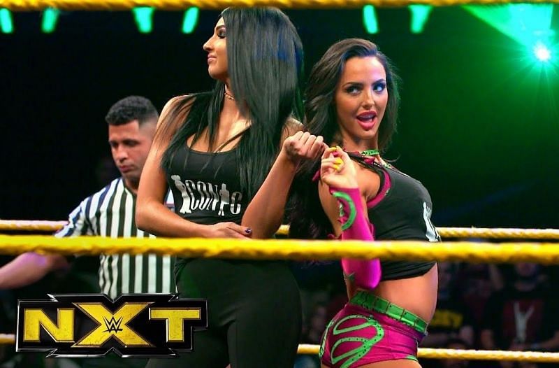 WWE&#039;s NXT brand generally features young prospects who&#039;re yet to break through into the big leagues