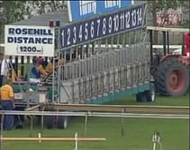 2nd race: Byerly Turf Plate 1200m