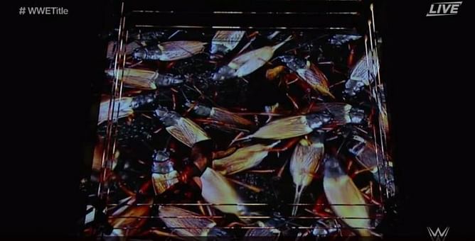 WWE News: Randy Orton vs. Bray Wyatt at WrestleMania 33 voted Worst Wrestling Match of 2017