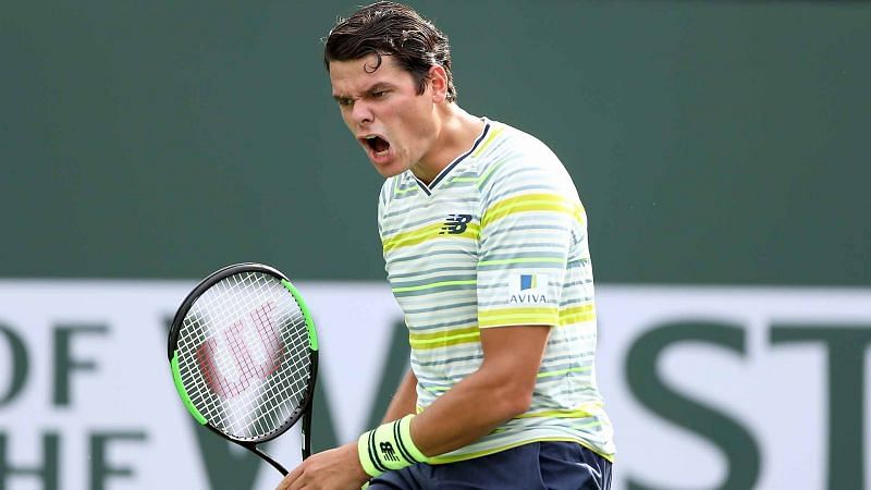Raonic looks set to rise in 2018 after injury break