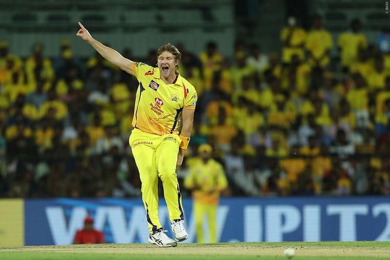 Image result for shane watson csk