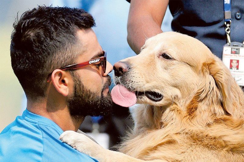 Kohli owns a beagle himself and is associated with an animal shelter in Bengaluru