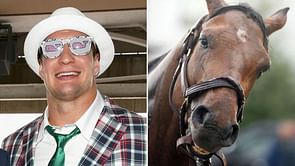 Horse named after Pats' Gronkowski out of Kentucky Derby due to illness