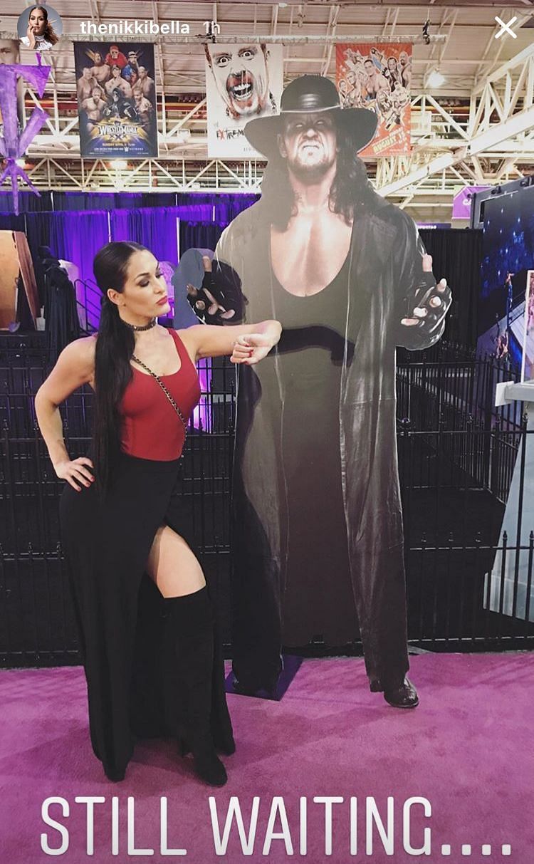 Nikki Bella calls out the Undertaker at Axxess