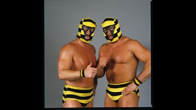 The Killer Bees masked...