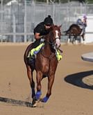 Justify gallops in preparation for Belmont and Triple Crown