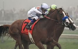 Good Magic's fast start leads to disappointing finish