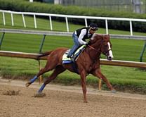 Baffert sees parallels between Justify and American Pharoah