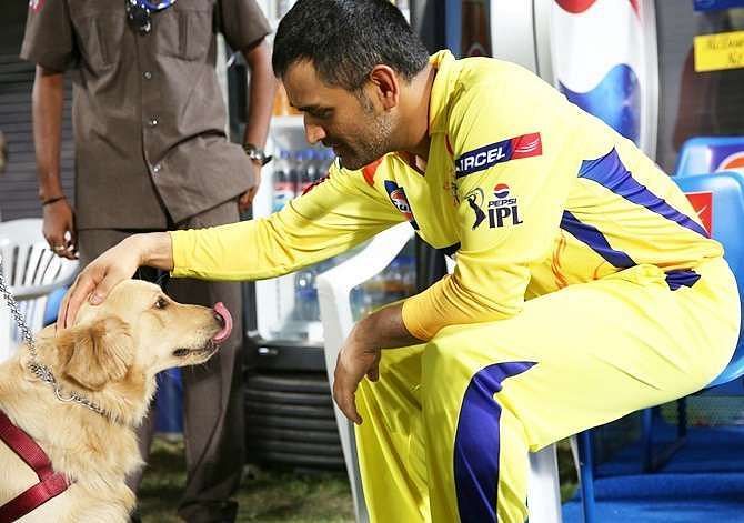 Captain Cool harbours an undying love for dogs