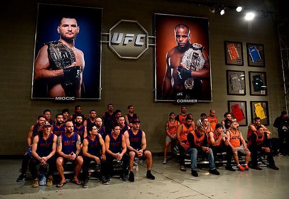 The Ultimate Fighter: Undefeated