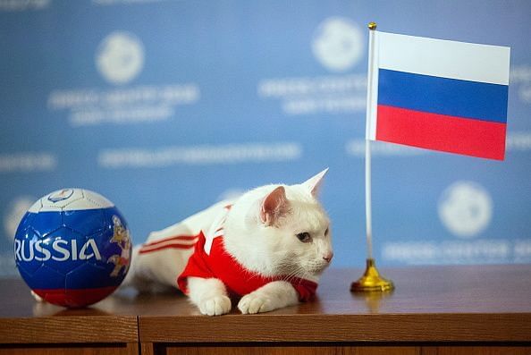 Oracle cat Achilles predicts Russia victory in 2018 FIFA World Cup opening match