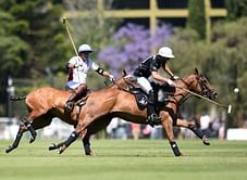 Polo and the curious case of patrons