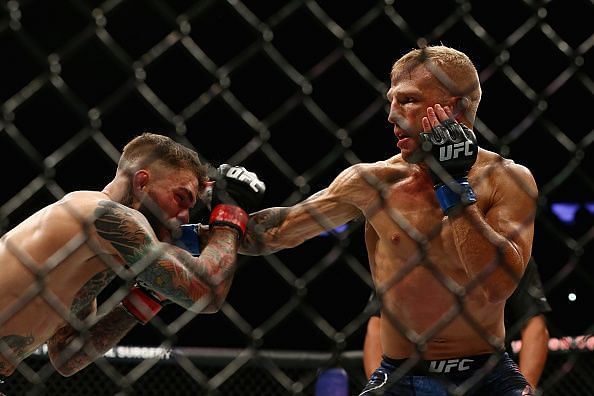 UFC 217: Garbrandt v Dillashaw