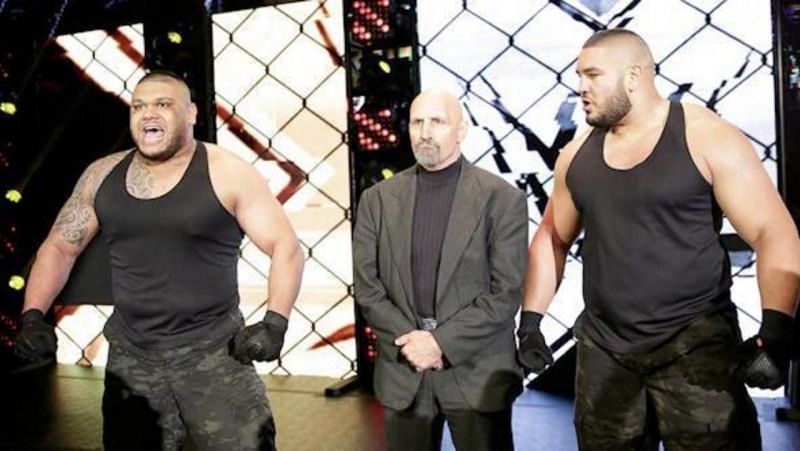 Authors of pain, 