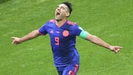 Image result for radamel falcao colombia world cup 2018