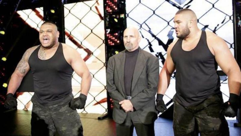 Authors of Pain, WWE,