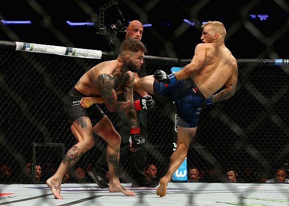 UFC 217: Garbrandt v Dillashaw