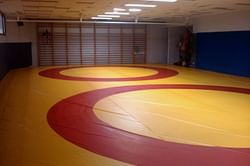 Mansi settles for silver, Swati claims bronze in Asian Wrestling