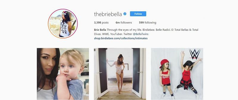 Brie Bella may not be on WWE TV, but she remains active on Instagram