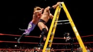 Shawn and Razor weren't the only ones having fun with ladders!