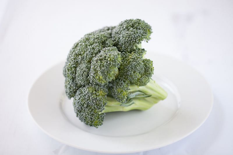 Broccoli provides tonnes of essential nutrients required by the body