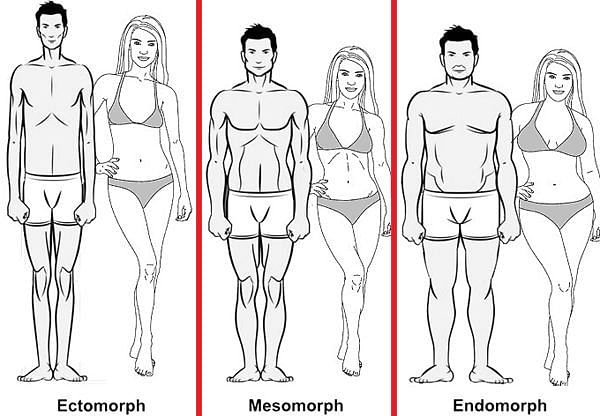 Body Type Quiz: Are You an Endomorph, Ectomorph, or Mesomorph?